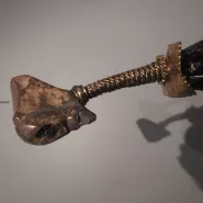 N3bisDtailTteMessager