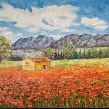Provence. - Poppies on the edge of the Alpilles - P21