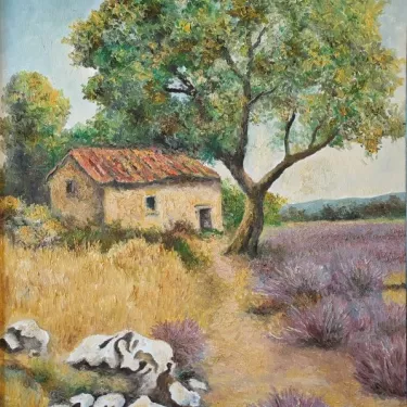 Provence. - Cabanon et la Lavande (Cabin and Lavender) - P16