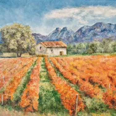 Provence. - Cottage in the Alpilles - P24