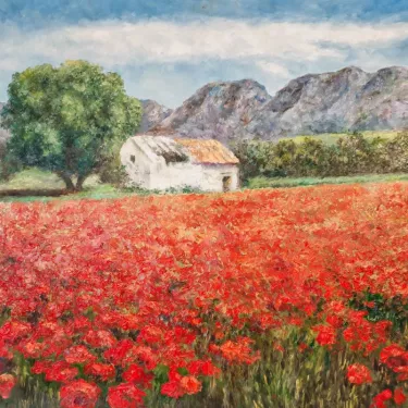 Provence. - Cabanon aux Coquelicots (Poppy Cottage) - P23