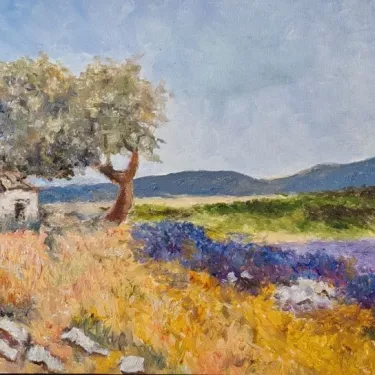 Provence. - The Abandoned Cabin and Lavender - P13