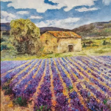 Provence. - Lavender - P50