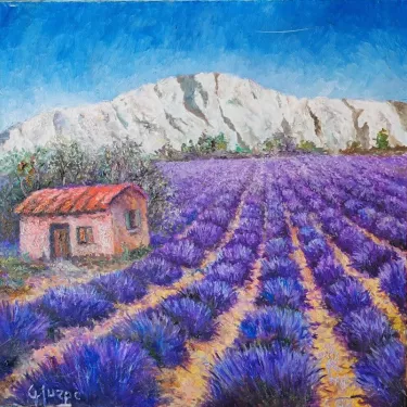 Provence. - Lavender at the Foot of the Alpilles - P3