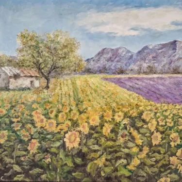 Provence. - Lavender and Sunflowers in Provence - P33