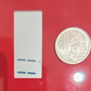 439 17PiceL500Vatican4