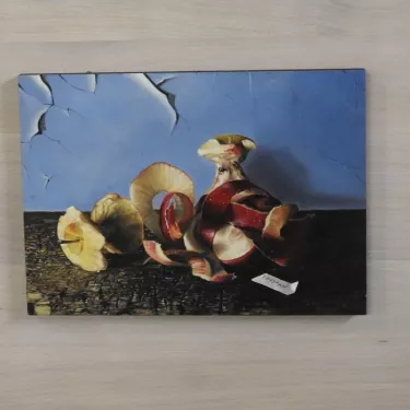 Huiles sur panneaux de l'Artiste TRISTAN